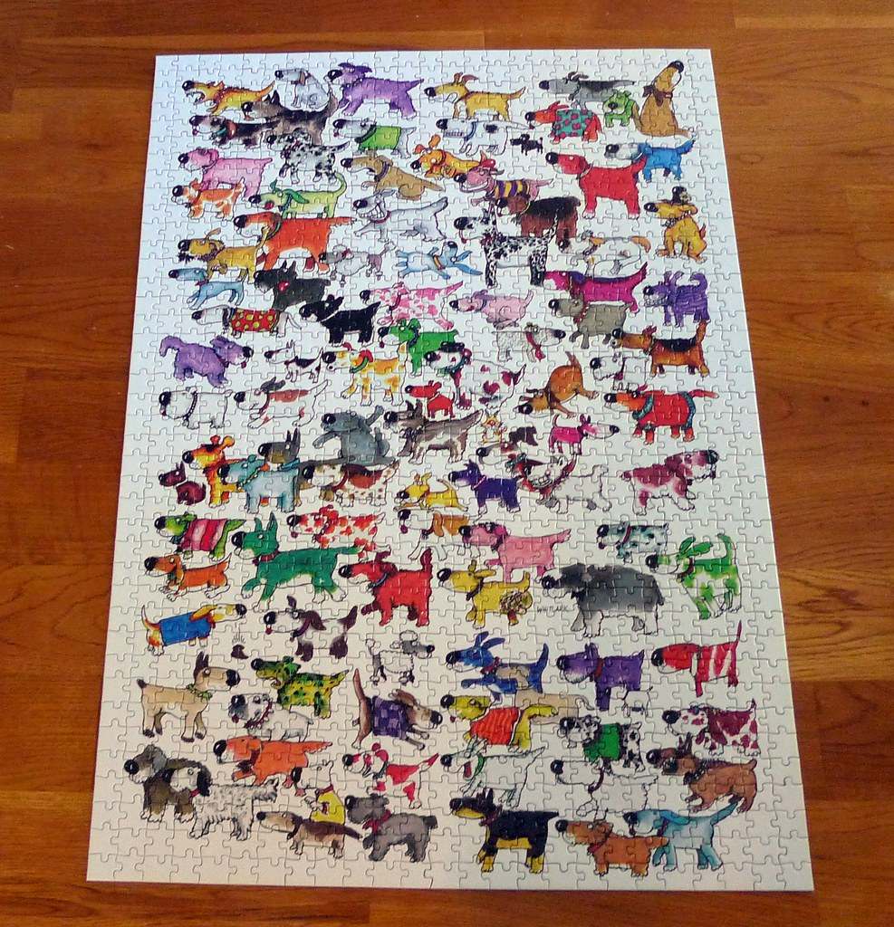 Openverse photograph: 100 dogs and a cat